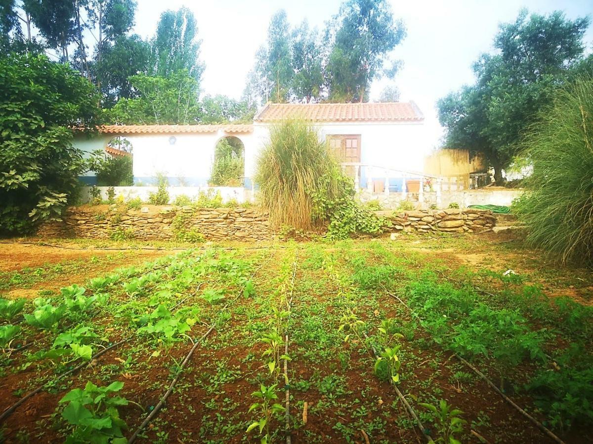 Monte Dos Tres Pocos Villa Cercal do Alentejo ภายนอก รูปภาพ