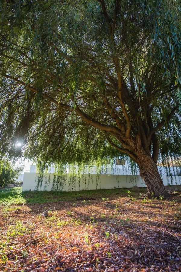 Monte Dos Tres Pocos Villa Cercal do Alentejo ภายนอก รูปภาพ