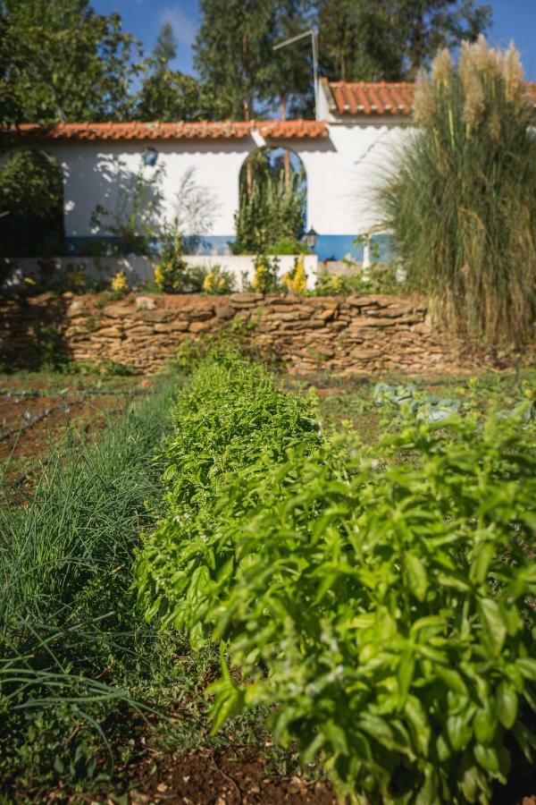 Monte Dos Tres Pocos Villa Cercal do Alentejo ภายนอก รูปภาพ